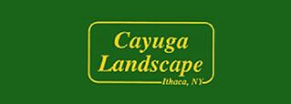 Cayuga Landscape