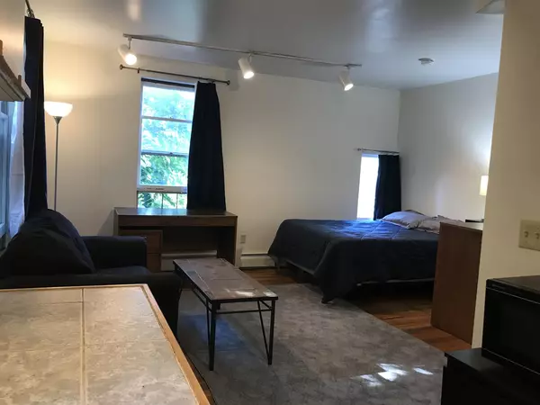 SPRING Sublet Available (Off-Campus Student Housing)  - Sunny Unique Studio - 5 minute walk to Cornell